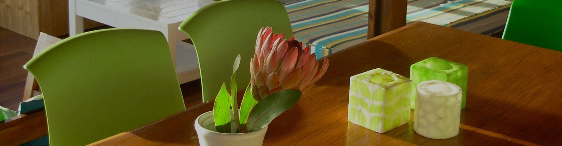 A pink protea flower rests in a white vase on a brown table, inside the Cat's Whiskers rental villa at Cliff Top Houses in the Wilderness South Africa.